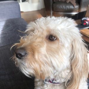 Meet your Posher, Karyn